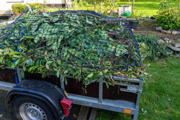 Best Shed Removal  in Lawson Heights, PA